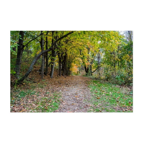 An Autumn Hike on the La-Ho Trail - Hanover Pennsylvania Photography Autumn Forest Nature Woodland Scenic Landscape Woods Unframed Wall Art Print 4 x 6 inches