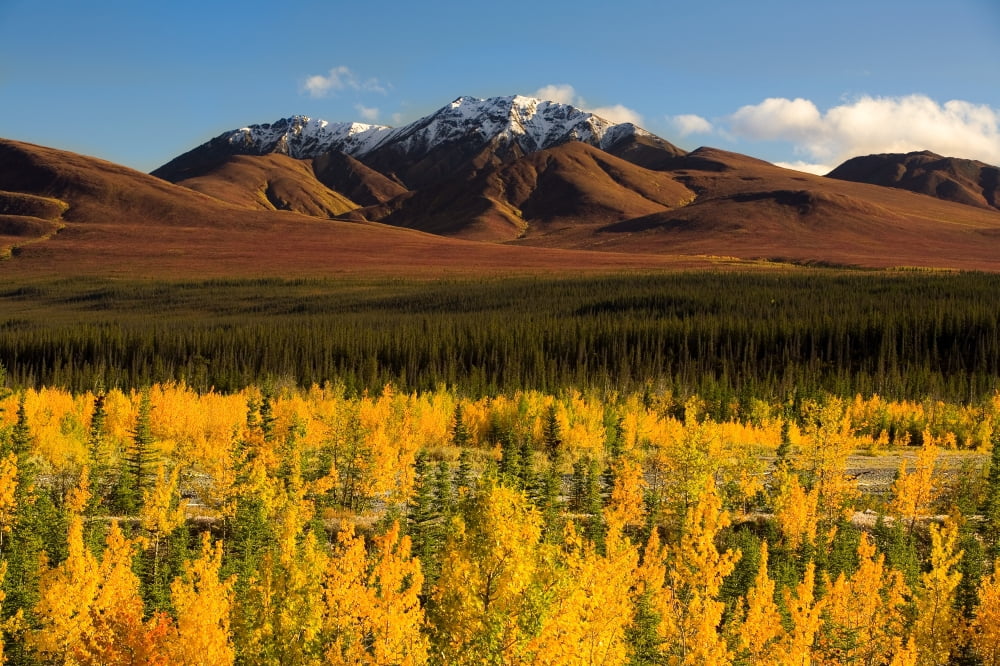 Autumn In Duke Creek Kluane Wildlife Sanctuary Yukon Nwt Canvas Art - John Sylvester Design Pics (34 x 22)