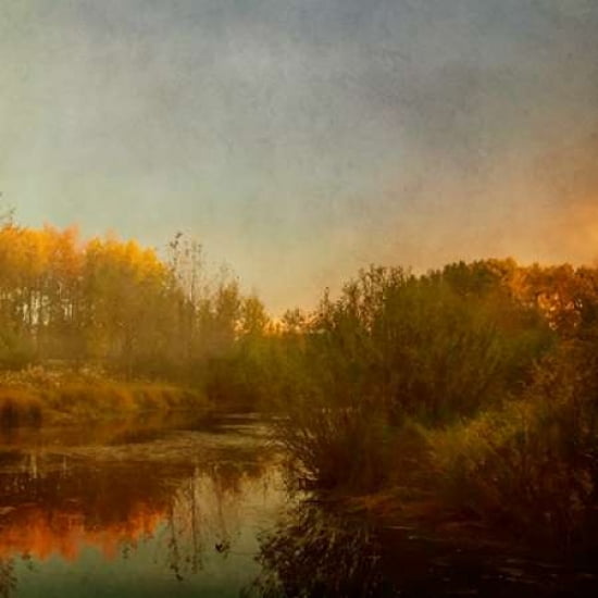 Autumn Landscape Canvas Art - Roberta Murray (24 x 24)
