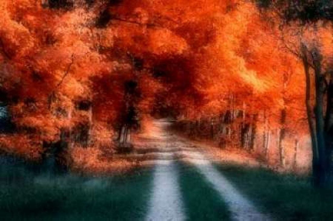 Autumn Lane Canvas Art - C Thomas McNemar (24 x 36)