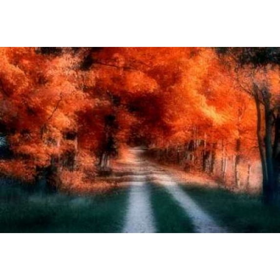 Autumn Lane Poster Print by C. Thomas McNemar (12 x 18)