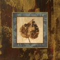 thumbnail image 1 of Autumn Leaf Square I Poster Print by Silvia Vassileva (12 x 12), 1 of 2