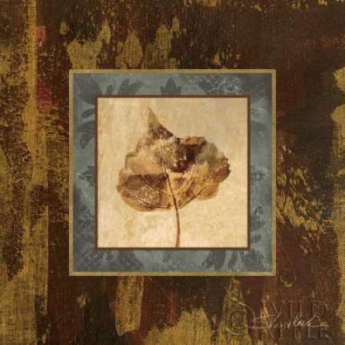 Autumn Leaf Square II Canvas Art - Silvia Vassileva (24 x 24)