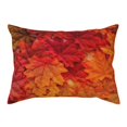 Autumn Leaf Super Soft Pillow Case 20x26, Breathable Pillowcases with