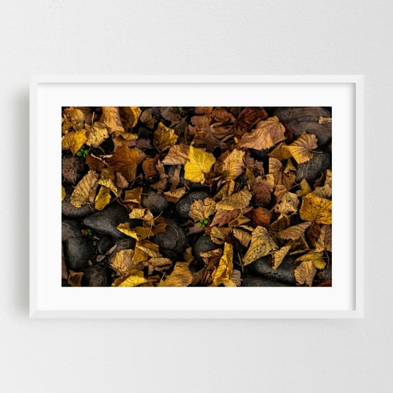 Autumn Leaves - Brooklyn New York Photography Autumn Nature Woodland Rustic Moody Forest White Framed Wall Art Print 5 x 7 inches