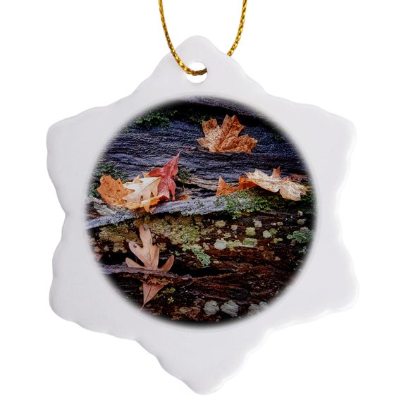 3drose, Autumn Leaves on a Log with Moss and Lichen, 3 inch Snowflake Porcelain Ornament