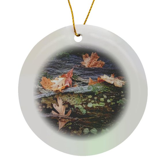 3drose, Autumn Leaves on Log in Monte Sano State Park, Circle Porcelain Ornament