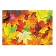 thumbnail image 1 of Autumn Leaves Paper Placemats - 9 3/4in. x 14in. - 100 Pack (702081), 1 of 1
