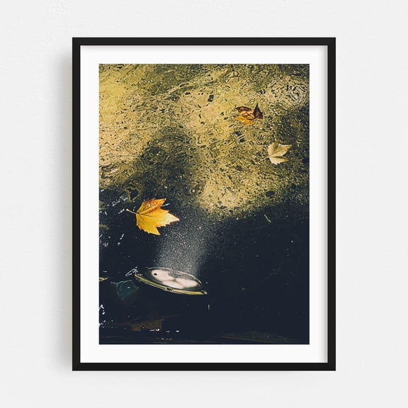 Autumn Leaves in Water 01 - Manhattan New York Photography Autumn Nature Water Fountain Abstract Moody Botanical Black Framed Wall Art Print 18 x 24 inches
