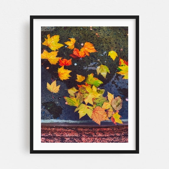 Autumn Leaves in Water 02 - Manhattan New York Photography Autumn Nature Botanical Scenic Water Woodland Moody Black Framed Wall Art Print 9 x 12 inches