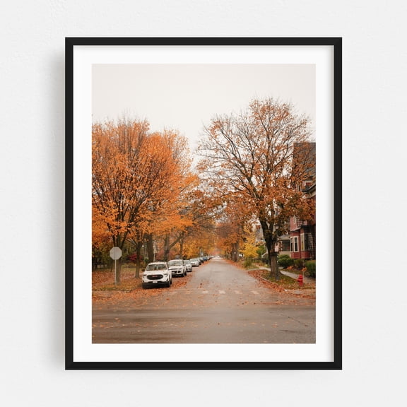Autumn on Lexington Ave, Buffalo - Buffalo New York Photography Autumn Street Photography City Scenic Landscape Rustic Black Framed Wall Art Print 18 x 24 inches