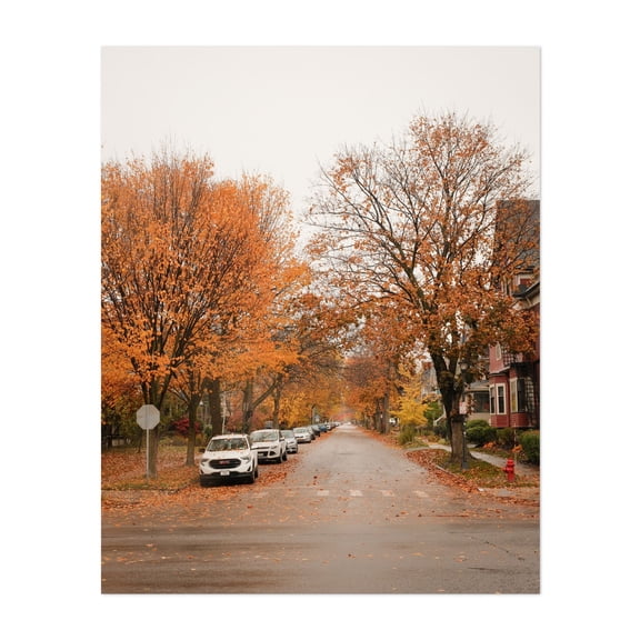 Autumn on Lexington Ave, Buffalo - Buffalo New York Photography Autumn Street Photography City Scenic Landscape Rustic Unframed Wall Art Print 6 x 8 inches