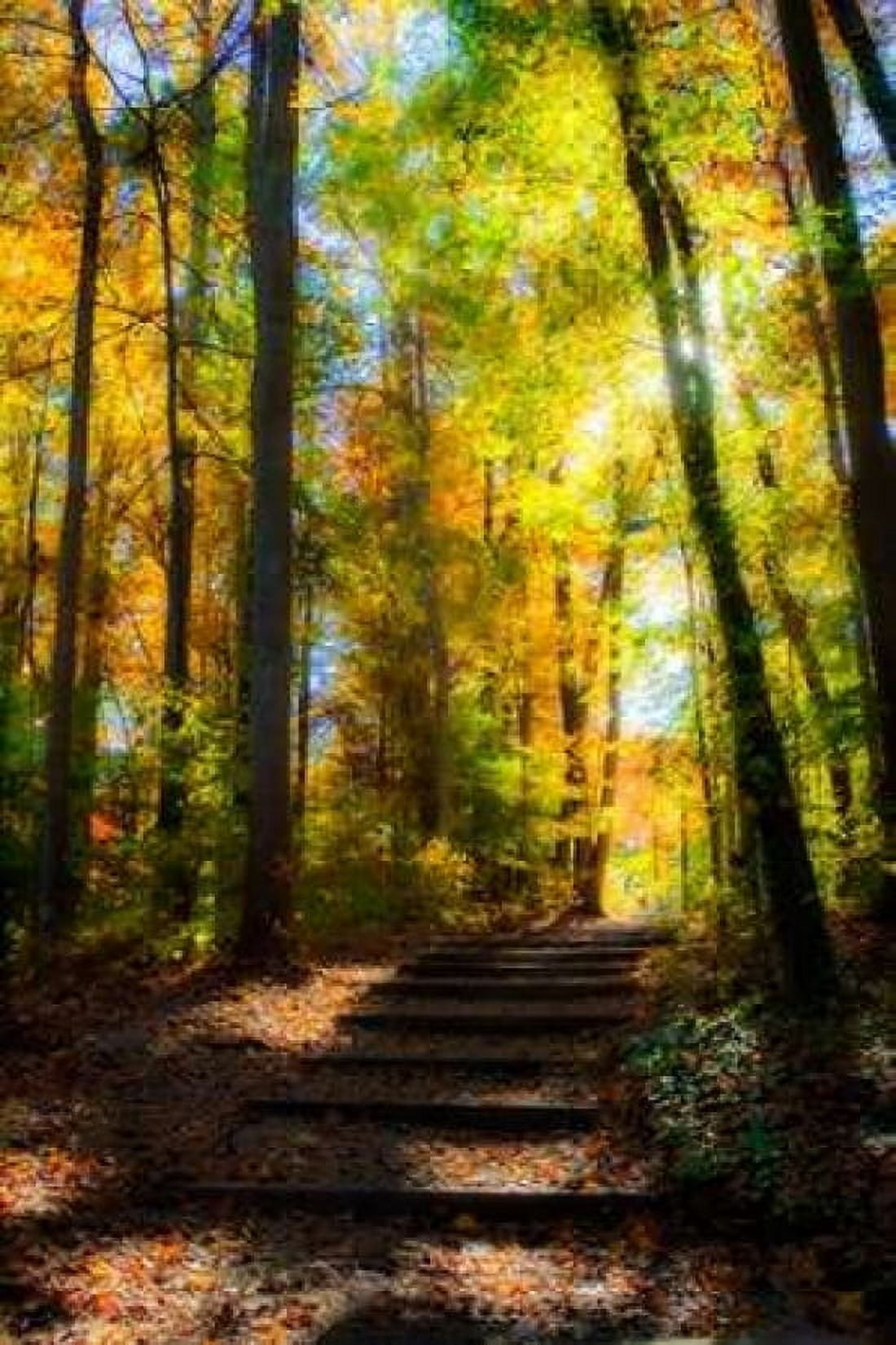 Autumn Light I Canvas Art - Alan Hausenflock (20 x 28)