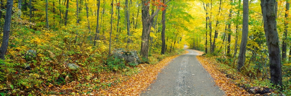 Autumn Macedonia Brook State Park Connecticut Canvas Art - Panoramic Images (36 x 12)