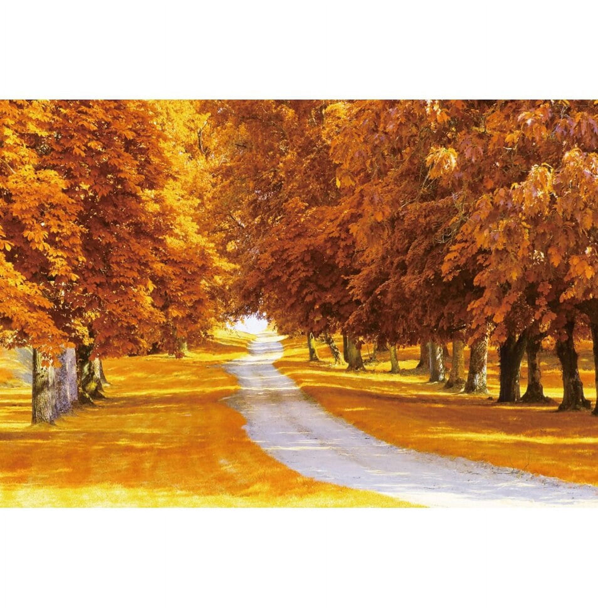 Autumn Maple Forest Tree Photography Backdrop Fall Natural Scenery ...