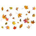 thumbnail image 1 of Autumn Maple Leaf Butterfly Glass Sticker Decoration Pvc Material 40Cm*30Cm, 1 of 8