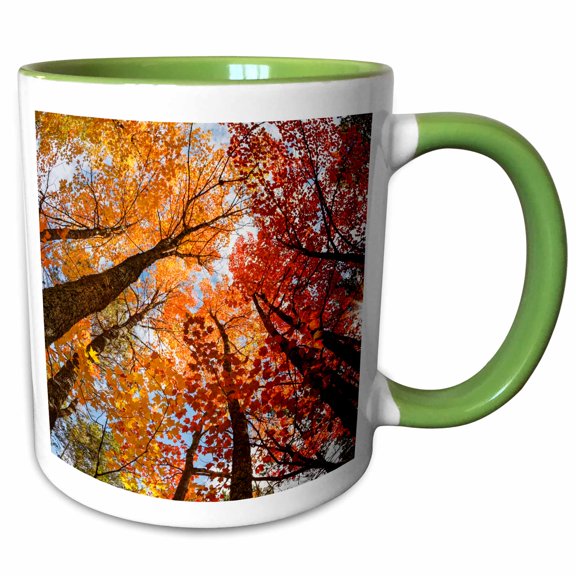3drose, Autumn Maple Trees in Pine Forest, Upper Peninsula, Michigan, 11oz Two-tone Green Mug