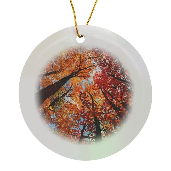 3drose, Autumn Maple Trees in Pine Forest, Upper Peninsula, Michigan, Circle Porcelain Ornament