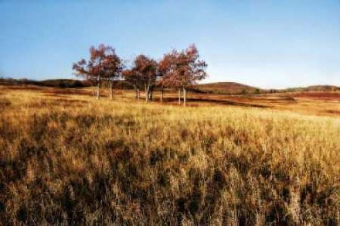 Autumn Meadow II Canvas Art - Alan Hausenflock (12 x 18)