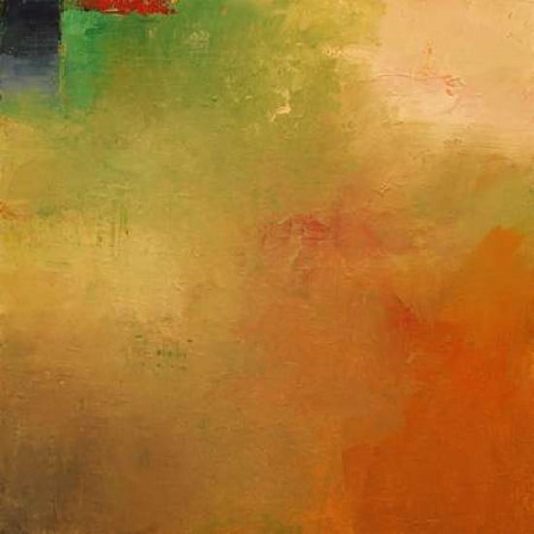Autumn Mist Canvas Art - Mark Dickson (24 x 24)