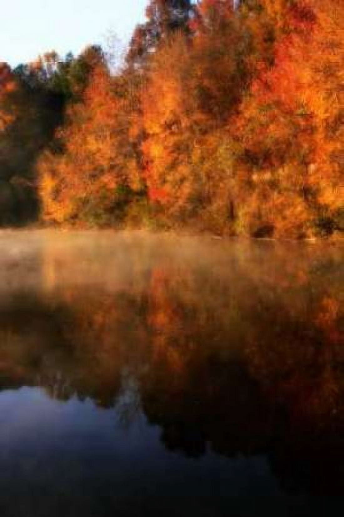 Autumn Mist II Canvas Art - Alan Hausenflock (20 x 28)