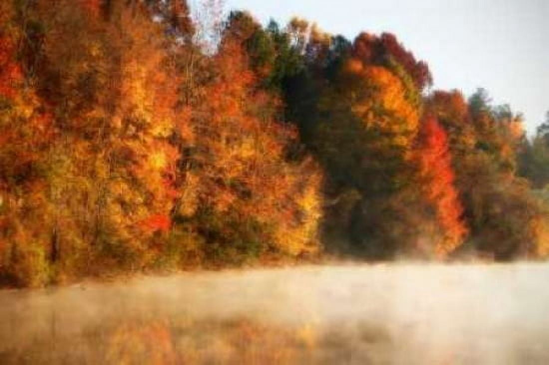 Autumn Mist III Canvas Art - Alan Hausenflock (20 x 28)