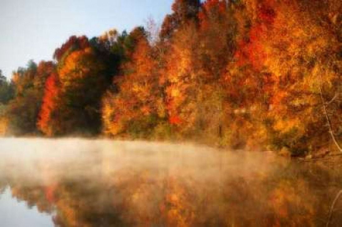 Autumn Mist IV Canvas Art - Alan Hausenflock (20 x 28)
