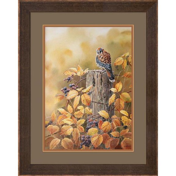 Autumn MistKestrel