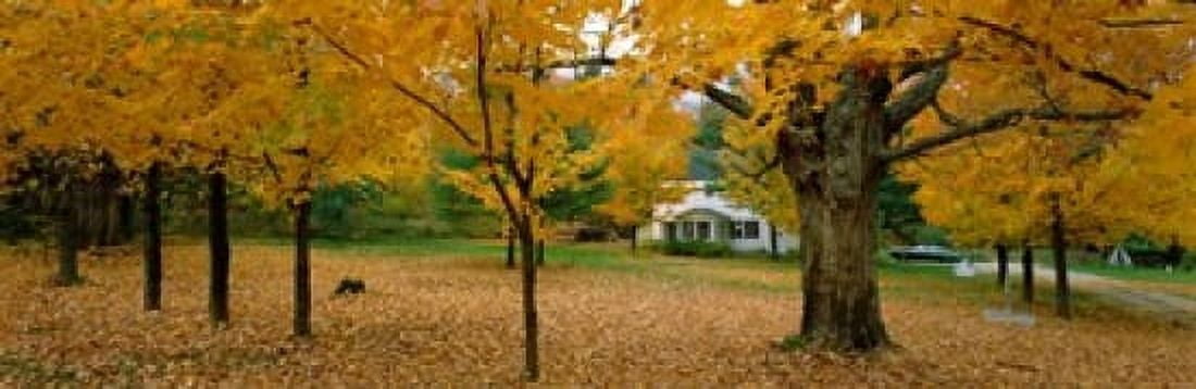 Autumn Muskoka Canada Canvas Art - Panoramic Images (18 x 6)