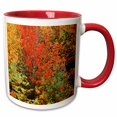 thumbnail image 1 of 3drose, Autumn, Northeast Kingdom, Vermont, Usa - Us46 Wbi0025 - Walter Bibikow, 11oz Two-tone Red Mug, 1 of 6