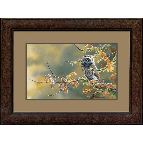 Autumn OakScreech Owl