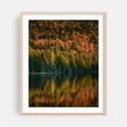 thumbnail image 1 of Autumn at Owen Pond, Adirondack Mountains 01 - New York Photography Autumn Forest Nature Scenic Woodland Landscape Wilderness Oak Framed Wall Art Print 11 x 14 inches, 1 of 12