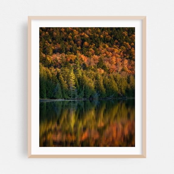 Autumn at Owen Pond, Adirondack Mountains 01 - New York Photography Autumn Forest Nature Scenic Woodland Landscape Wilderness Oak Framed Wall Art Print 6 x 8 inches