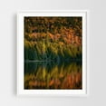 thumbnail image 1 of Autumn at Owen Pond, Adirondack Mountains 01 - New York Photography Autumn Forest Nature Scenic Woodland Landscape Wilderness White Framed Wall Art Print 11 x 14 inches, 1 of 3
