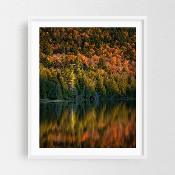 Autumn at Owen Pond, Adirondack Mountains 01 - New York Photography Autumn Forest Nature Scenic Woodland Landscape Wilderness White Framed Wall Art Print 11 x 14 inches
