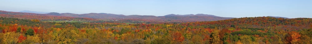 Autumn Panorama Brome Quebec Canada Canvas Art - David Chapman Design Pics (44 x 6)