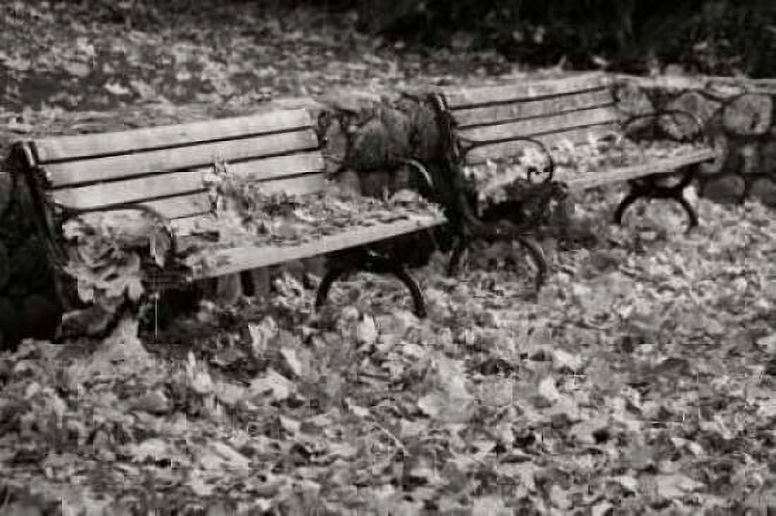 Autumn Paradise I BandW Canvas Art - Vitaly Geyman (24 x 36)