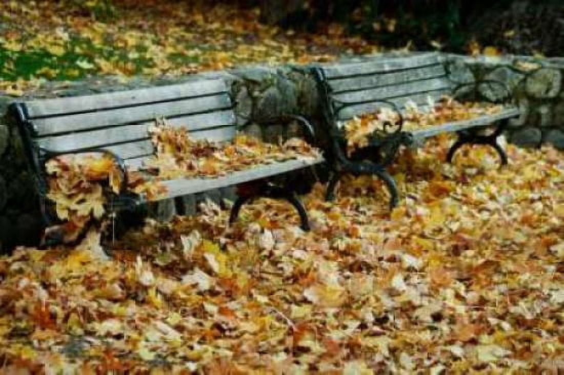Autumn Paradise I Canvas Art - Vitaly Geyman (12 x 18)
