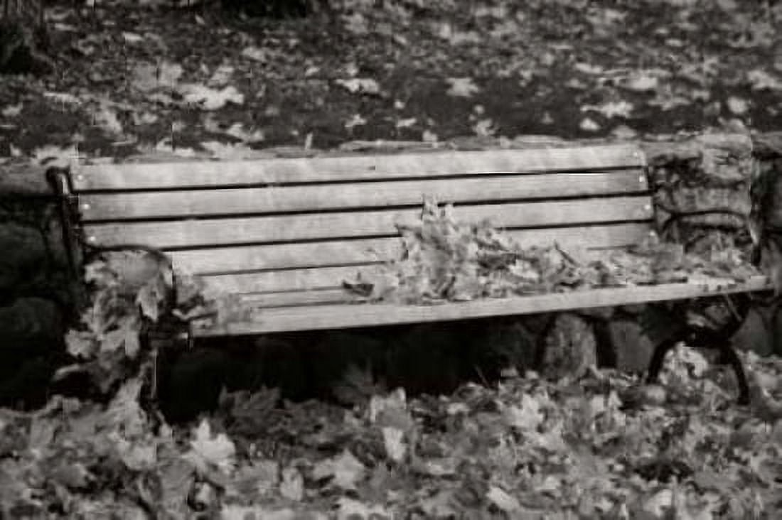 Autumn Paradise II BandW Canvas Art - Vitaly Geyman (24 x 36)