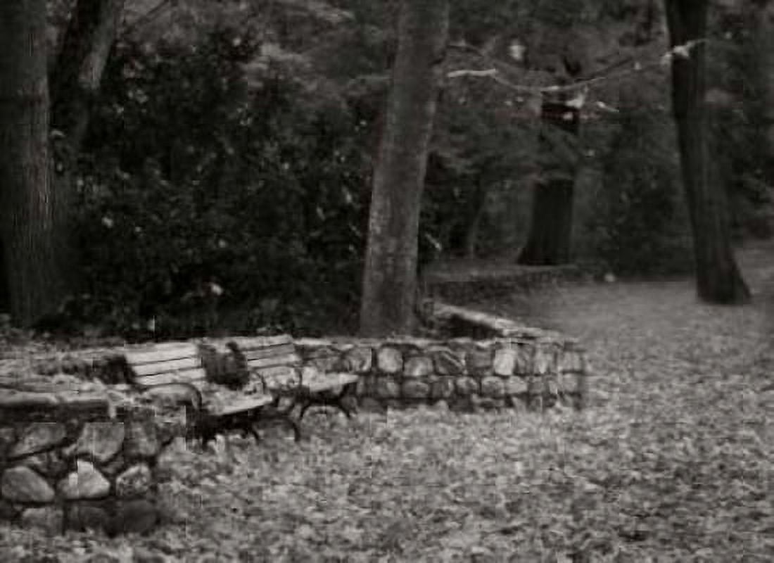 Autumn Paradise III BandW Canvas Art - Vitaly Geyman (18 x 24)