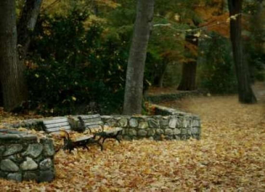 Autumn Paradise III Canvas Art - Vitaly Geyman (18 x 24)