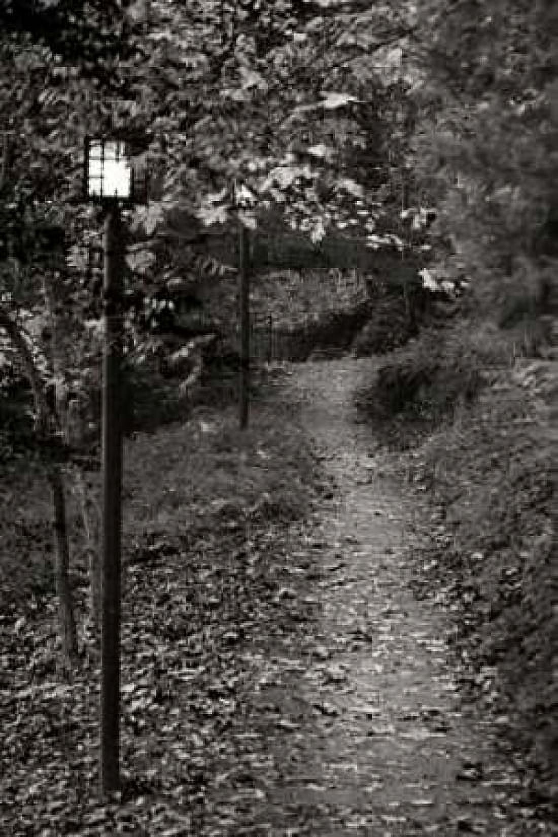 Autumn Path I BandW Canvas Art - Vitaly Geyman (24 x 36)