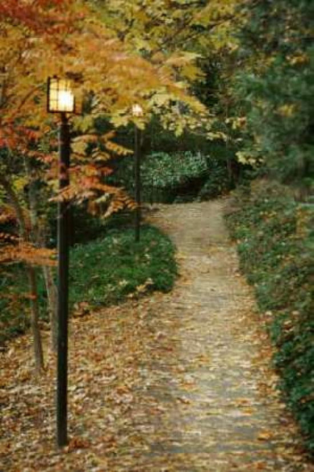 Autumn Path I Canvas Art - Vitaly Geyman (12 x 18)