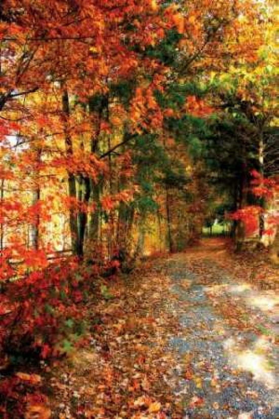 Autumn Pathway Canvas Art - Alan Hausenflock (24 x 36)