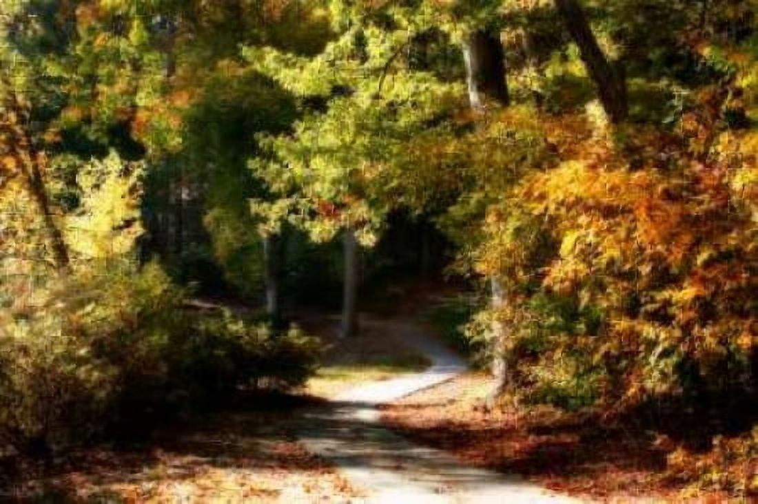 Autumn Pathway I Canvas Art - Alan Hausenflock (20 x 28)