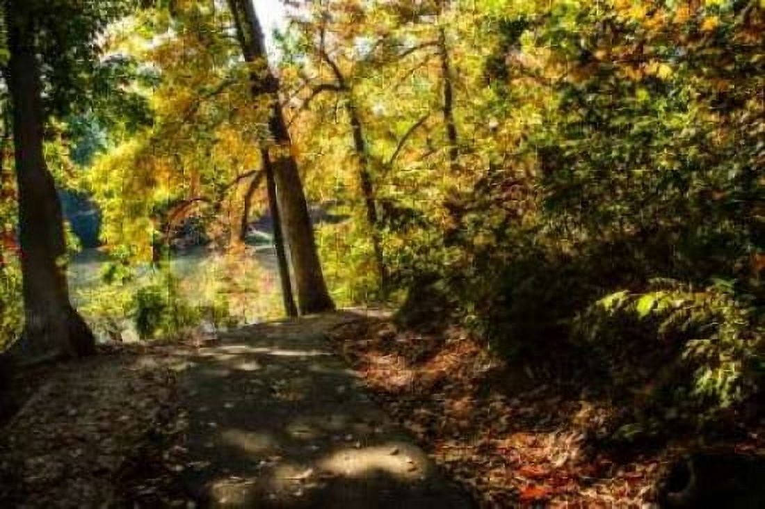 Autumn Pathway II Canvas Art - Alan Hausenflock (20 x 28)