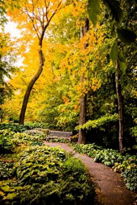 Autumn Pathway II Canvas Art - Beth Wold (12 x 18)