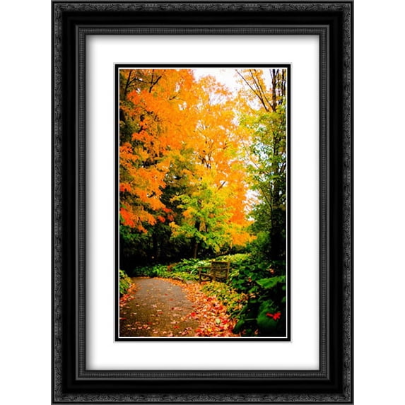 Autumn Pathway III 2x Matted 18x24 Black Ornate Framed Art Print by Wold, Beth