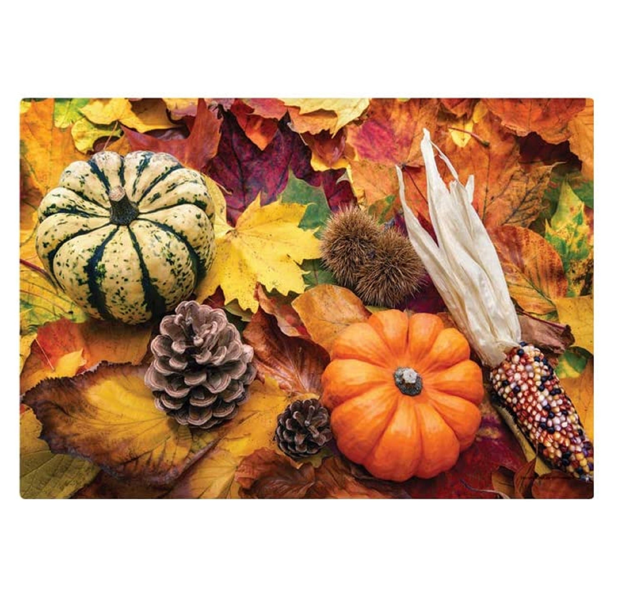 Autumn Pumpkins Paper Placemats - 9 3/4in. x 14in. - 75 Pack (702081)