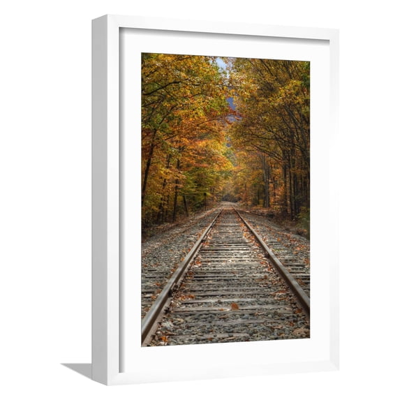 Art.com Autumn Railroad Tracks, White Mountain, New Hampshire Photographic Print by Vincent James, White Frame Wall Art, 17" x 23"